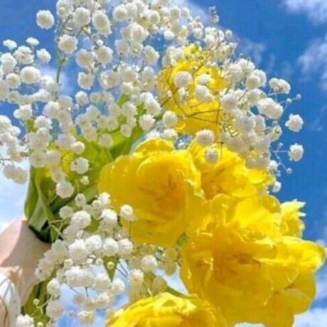 #!trpst#trp-gettext data-trpgettextoriginal=7#!trpen#Profile picture of عربية بن اوذينة#!trpst#/trp-gettext#!trpen#